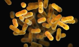 a close up of a bunch of small yellow things